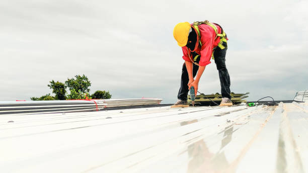 Best Rubber Roofing (EPDM, TPO)  in South Lockport, NY